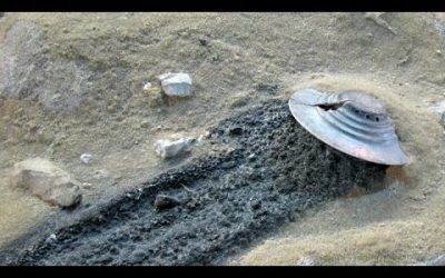 UFO Crashes In Mexico